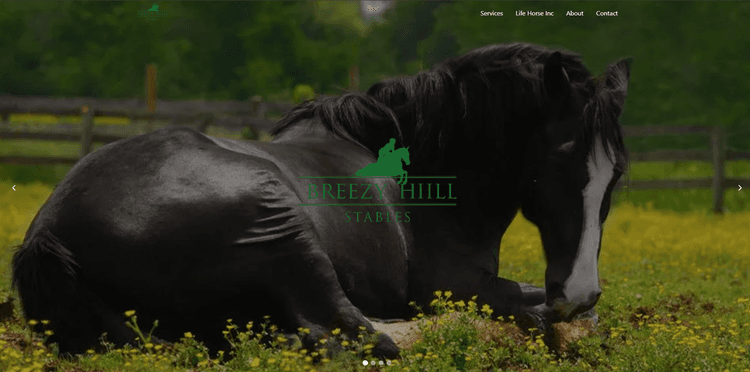 Breezy Hill's Screen Image